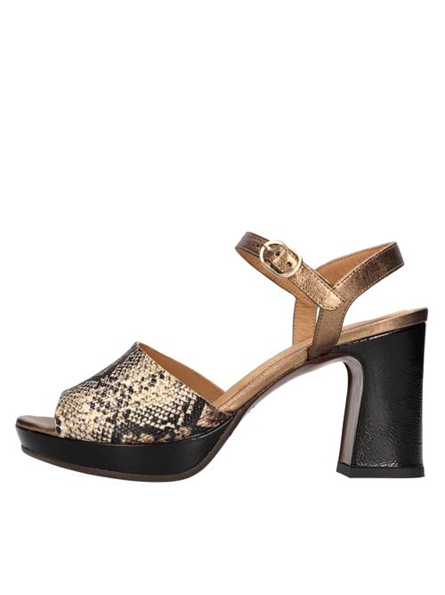  CHIE MIHARA | KERICK ROCKTERRA COBRE